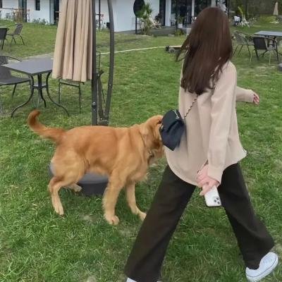 一克拉的室友